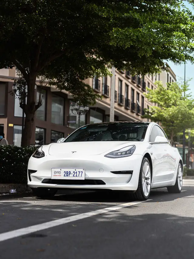 Read more about the article Tesla Model Y