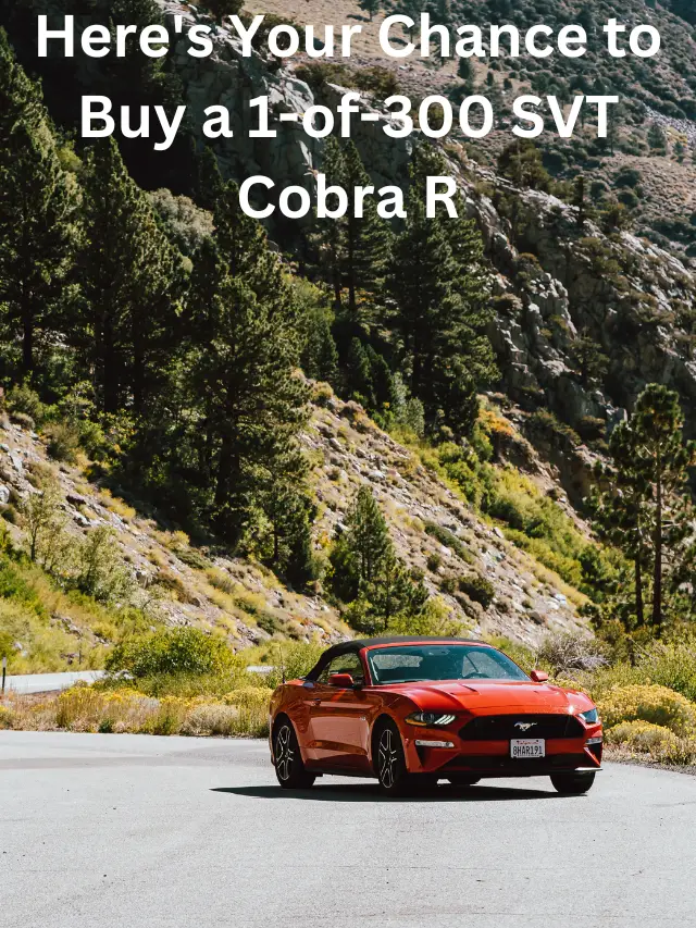 Here’s Your Chance to Buy a 1-of-300 SVT Cobra R