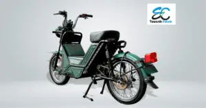 Read more about the article Ozotec Bheem Electric Scooter: मॉडिफिकेशन के 14 ऑप्शन के साथ आता है यह 515 KM रेंज वाली इलेक्ट्रिक स्कूटर